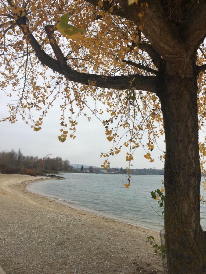 Bleu Bambou Lägenhet Hauterive  Exteriör bild